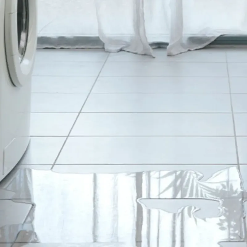 Appliance Leak Cleanup in West Palm Beach, FL