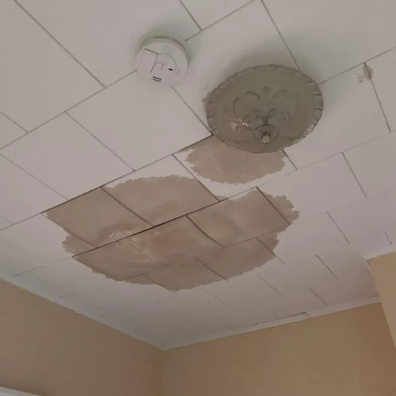 Ceiling Water Damage Repair in West Palm Beach, FL